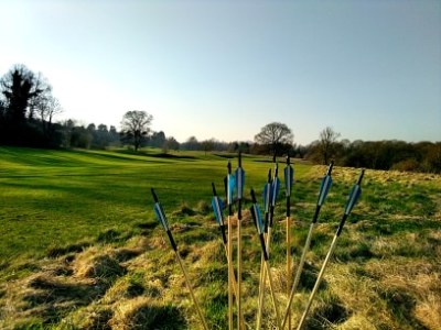 Den update: Longbows and slow progress&nbsp;28/02/2021