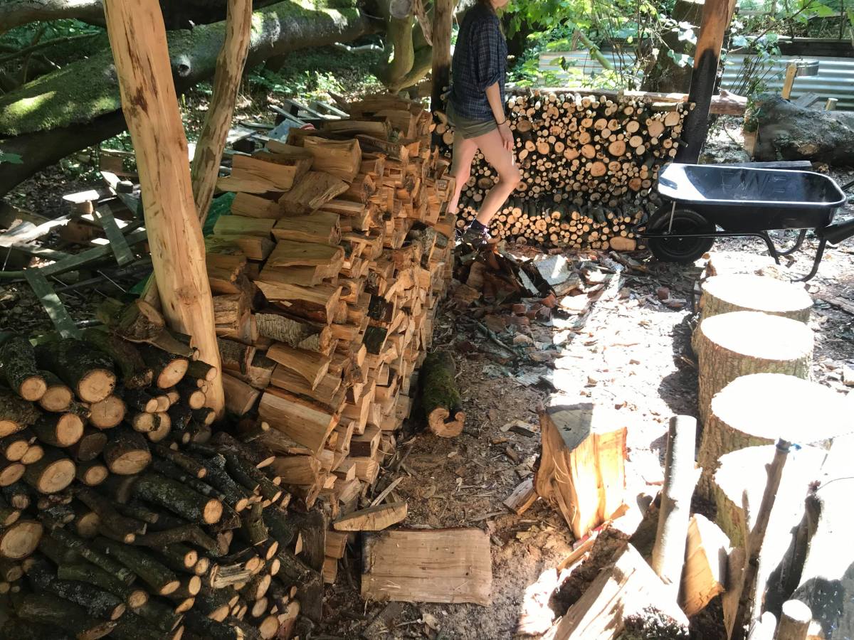 Den update: Firewood&nbsp;26/07/2021